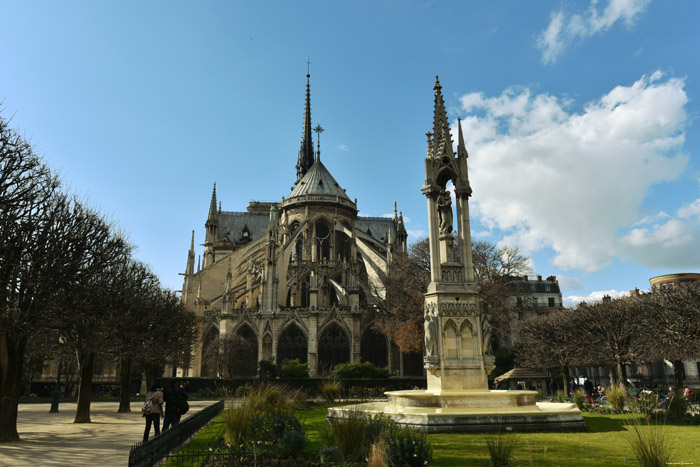 Onze-Lieve-Vrouwekathedraal (Notre Dame) Parijs in Paris / FRANKRIJK 