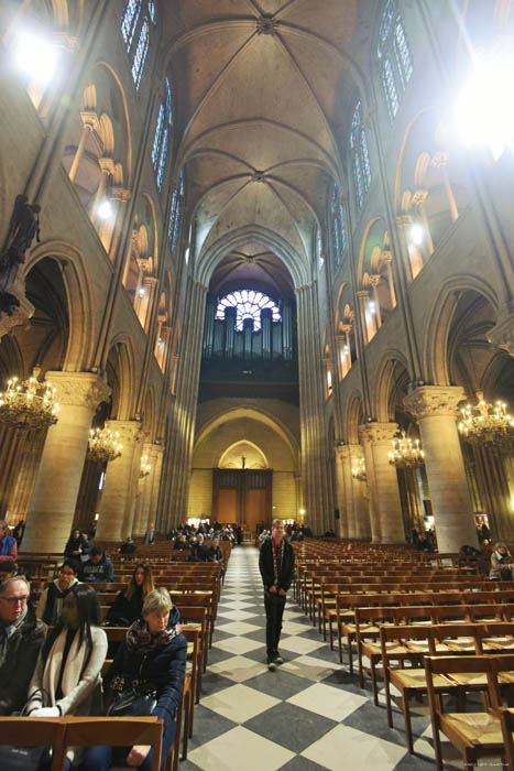 Our Ladies' Cathedral (Notre Dame) Paris / FRANCE 