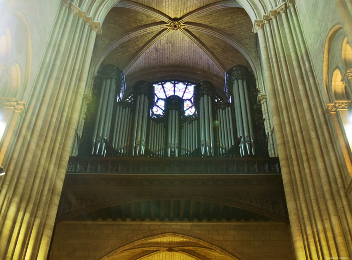 Cathdrale Notre Dame Paris / FRANCE 