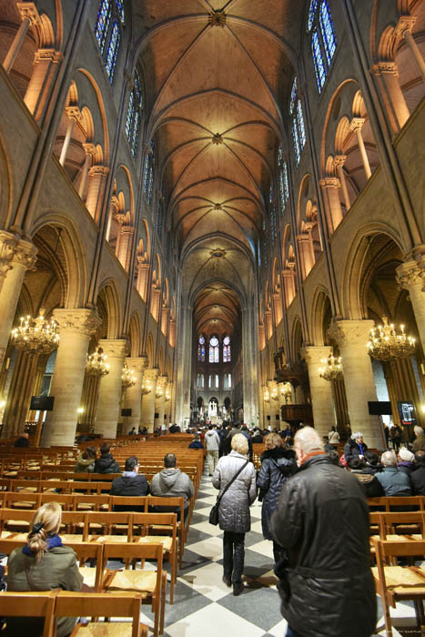 Onze-Lieve-Vrouwekathedraal (Notre Dame) Parijs in Paris / FRANKRIJK 