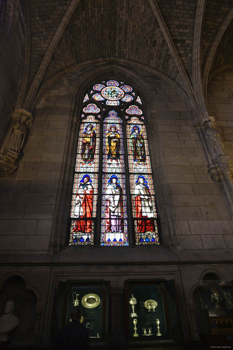 Onze-Lieve-Vrouwekathedraal (Notre Dame) Parijs in Paris / FRANKRIJK 