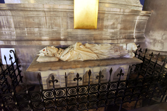 Cathdrale Notre Dame Paris / FRANCE 