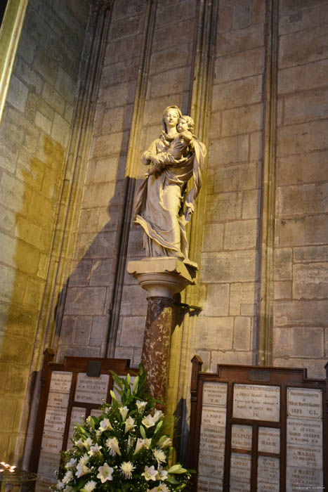 Cathdrale Notre Dame Paris / FRANCE 