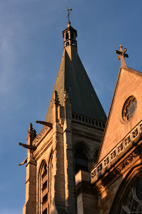 glise Saint Sverin Paris / FRANCE 