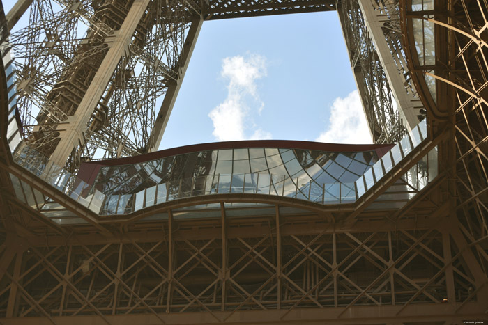 Eiffel Tower Paris / FRANCE 