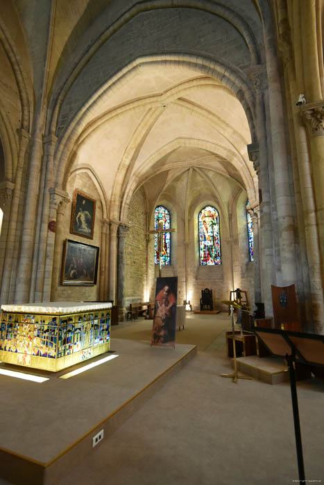 Sint-Petrus van Monmartre kerk Parijs in Paris / FRANKRIJK 