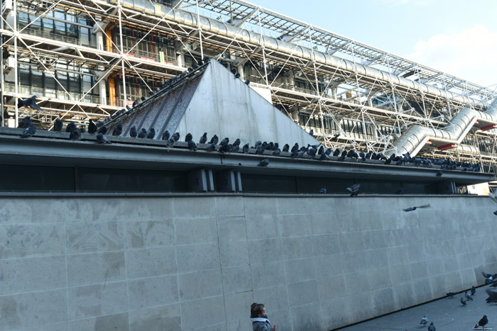 Pigeons sur Atelier Brancusi Paris / FRANCE 