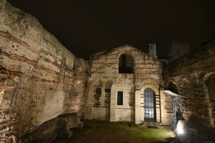 Cluny Museum - Middeleeuwse Tuin Parijs in Paris / FRANKRIJK 