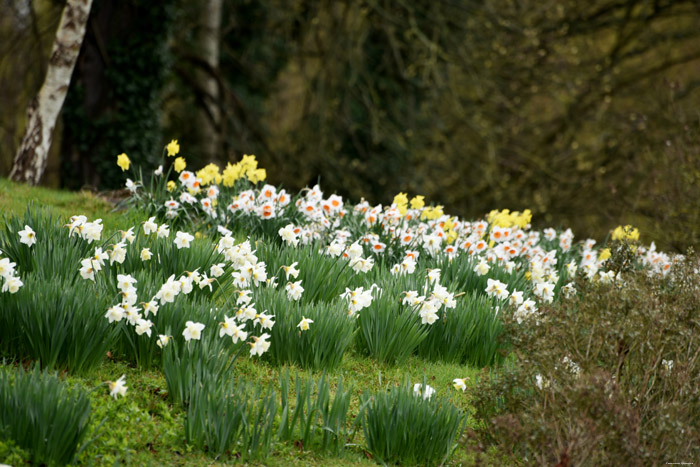 Mooonworts Leeds / United Kingdom 