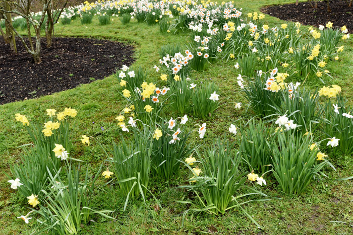 Paasbloemen Leeds / Engeland 