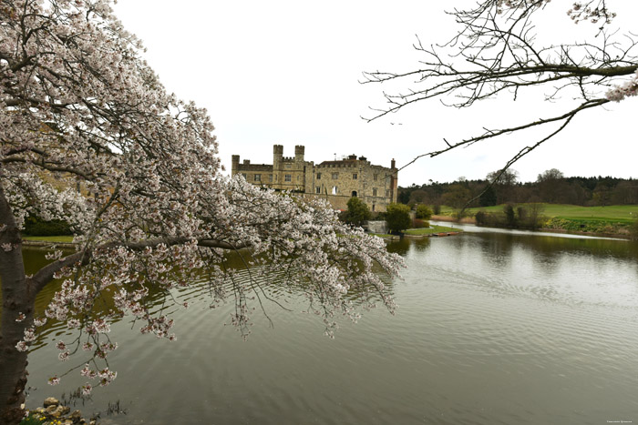 Chteau de Leeds Leeds / Angleterre 