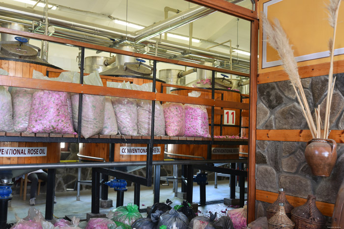 Damastsena Rozendistilerie Skobelevo / Bulgarije 