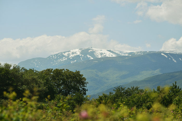 Sokolna Mountain top Gorno Sahrane / Bulgaria 