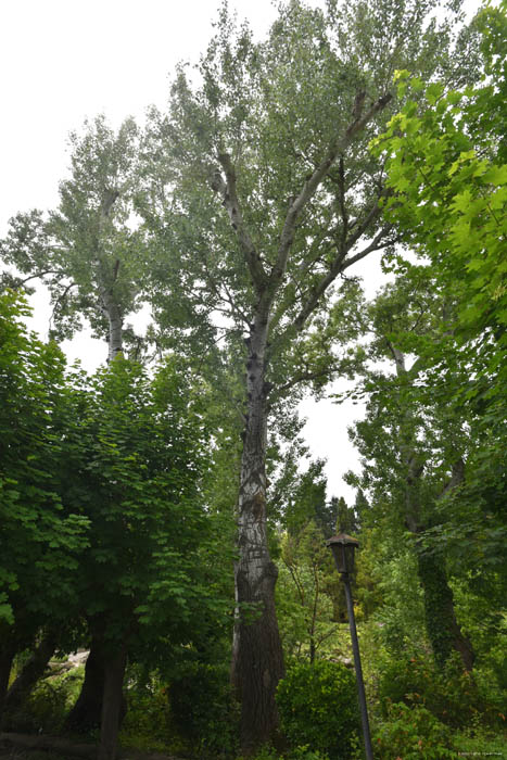 Jardin Botanique Balchik / Bulgarie 