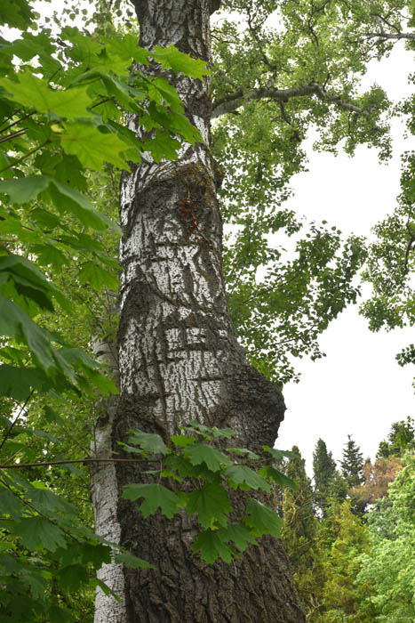 Botanische Tuin Balchik / Bulgarije 