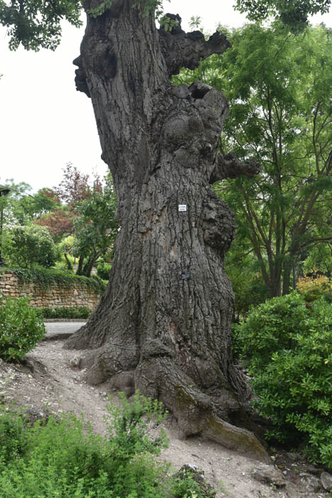 Botanische Tuin Balchik / Bulgarije 