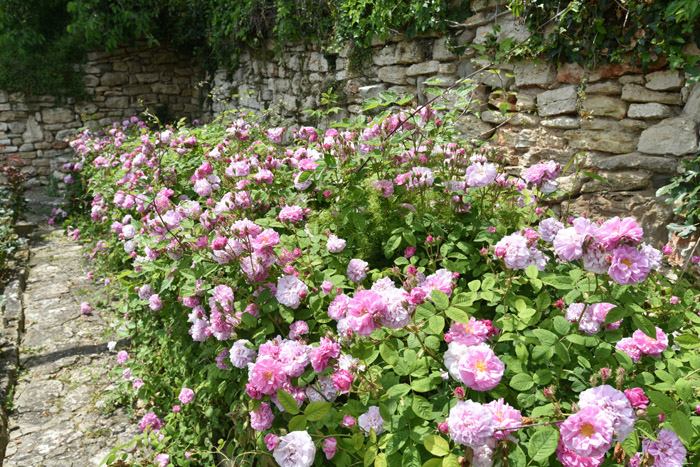 Botanic Garden Balchik / Bulgaria 