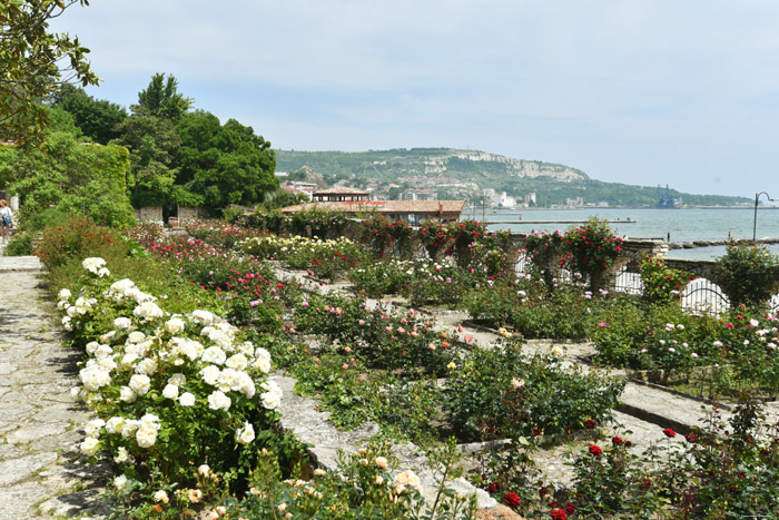 Botanische Tuin Balchik / Bulgarije 