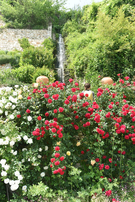 Botanische Tuin Balchik / Bulgarije 