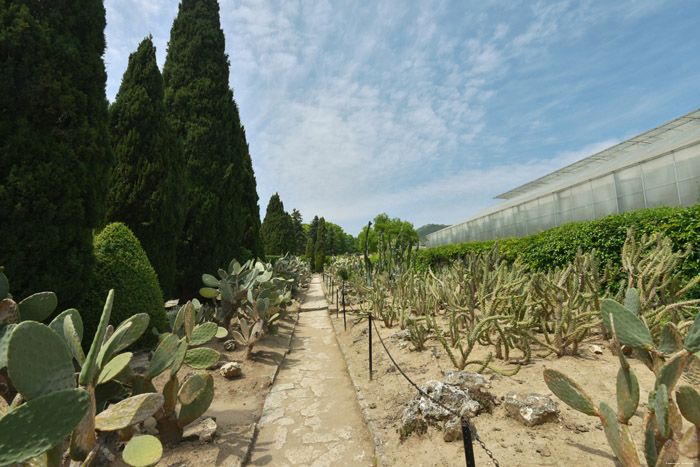 Botanische Tuin Balchik / Bulgarije 