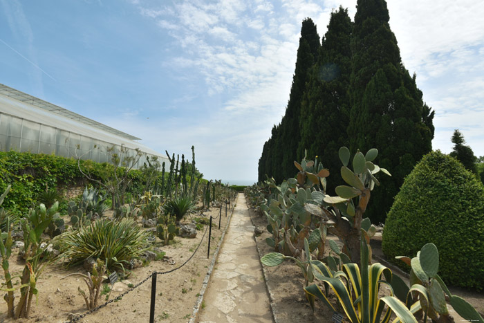 Botanische Tuin Balchik / Bulgarije 