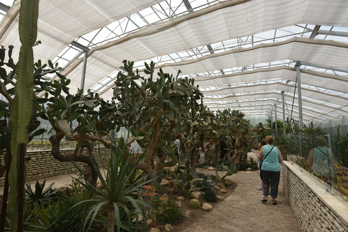 Jardin Botanique Balchik / Bulgarie 