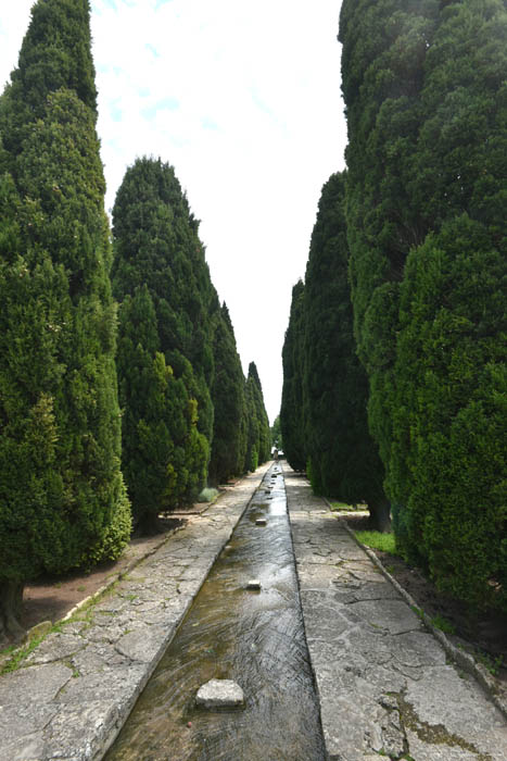 Botanic Garden Balchik / Bulgaria 