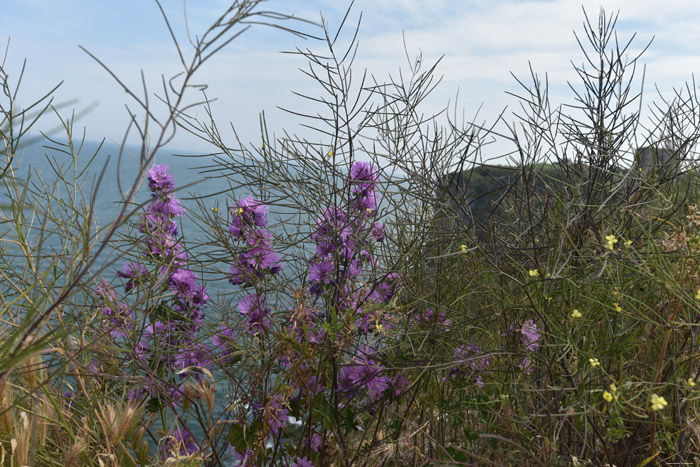 Cape Kaliakra / Bulgaria 