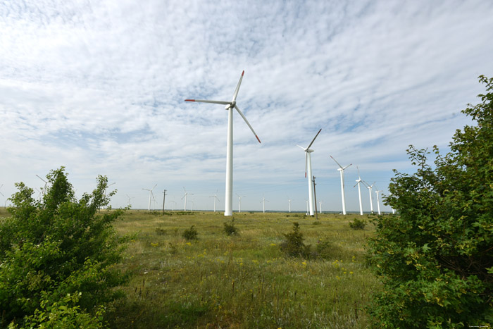 Windmills on Via Pontica Balgarevo / Bulgaria 