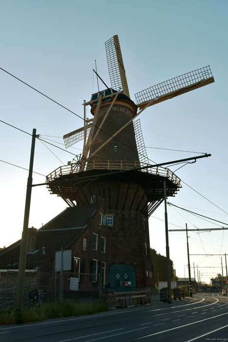 Molen de Roos Delft / Nederland 