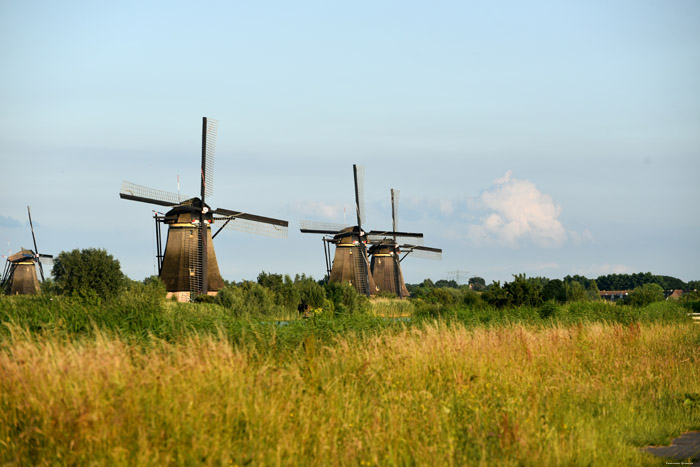 Moulins de Kinderdijk Kinderdijk / Pays Bas 