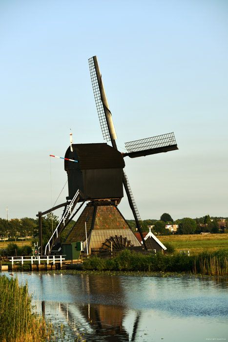 Kinderdijk Molens Kinderdijk / Nederland 