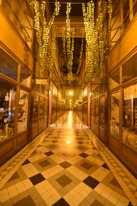 Passage van het Grote Hert Parijs in Paris / FRANKRIJK 