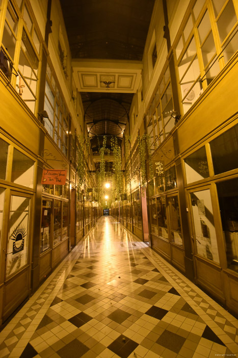 Passage of the Large Deer Paris / FRANCE 