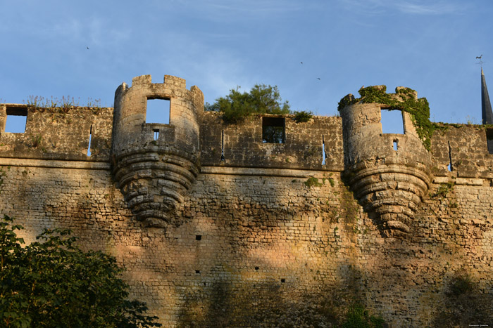 Chteau de Montreuil-Bellay Montreuil-Bellay / FRANCE 