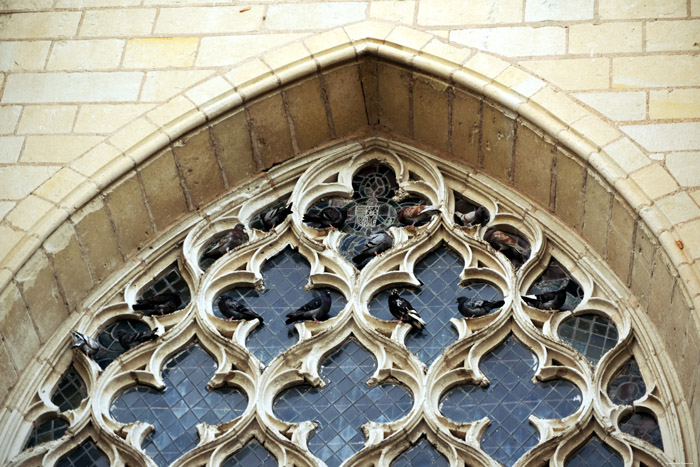 Collégiale Notre Dame Montreuil-Bellay / FRANCE 