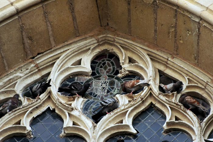 Collégiale Notre Dame Montreuil-Bellay / FRANCE 