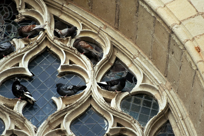 Onze-Lieve-Vrouwekerk Montreuil-Bellay / FRANKRIJK 