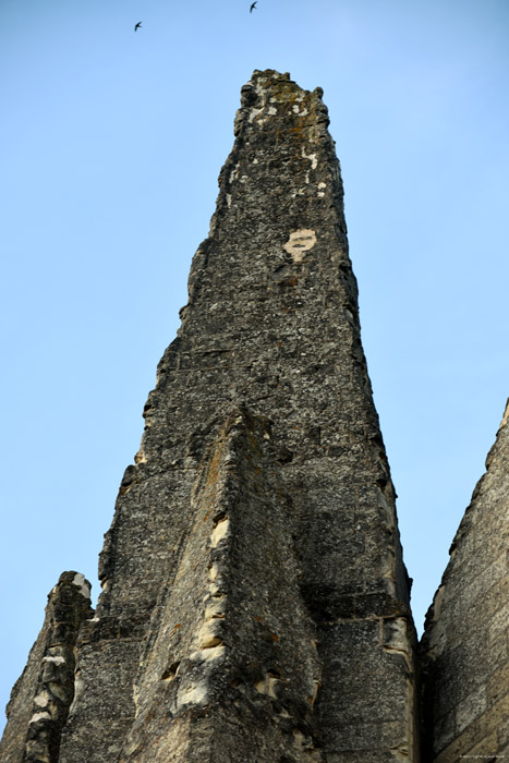 Collégiale Notre Dame Montreuil-Bellay / FRANCE 