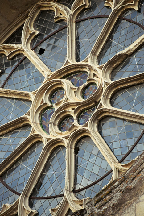 Collégiale Notre Dame Montreuil-Bellay / FRANCE 