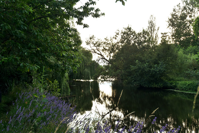 De Thouet Rivier Montreuil-Bellay / FRANKRIJK 