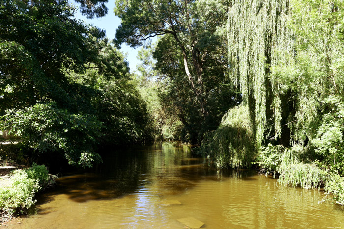 De Thouet Rivier Montreuil-Bellay / FRANKRIJK 