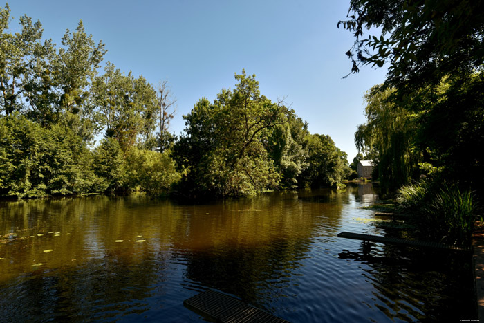 De Thouet Rivier Montreuil-Bellay / FRANKRIJK 