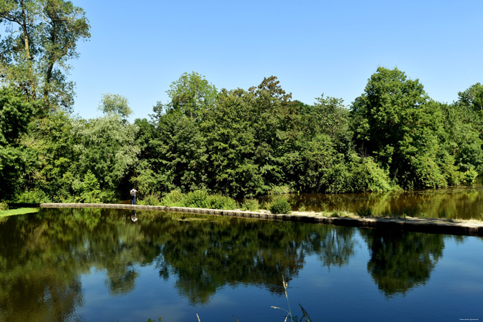 De Thouet Rivier Montreuil-Bellay / FRANKRIJK 