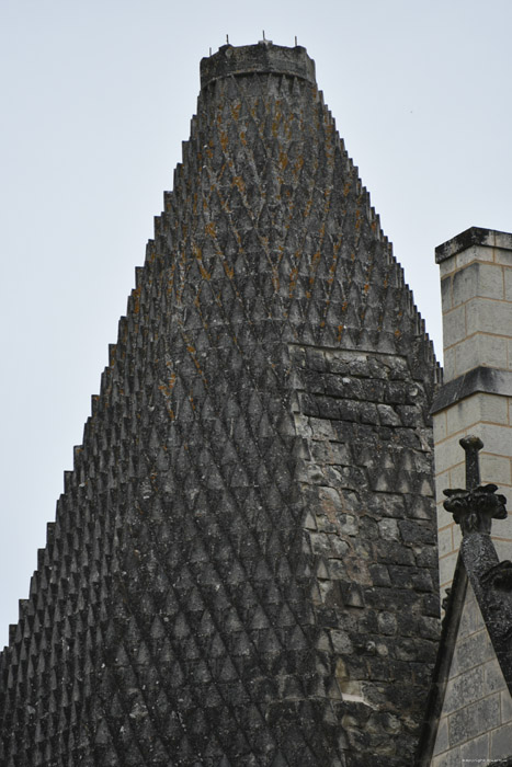 Koninklijke Abdij Fontevraud / FRANKRIJK 