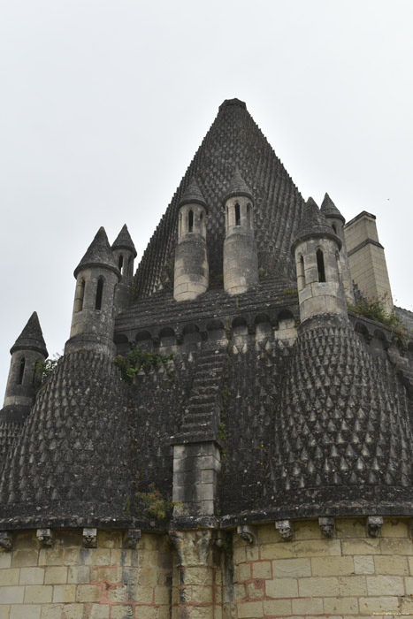 Royal Abbey Fontevraud / FRANCE 