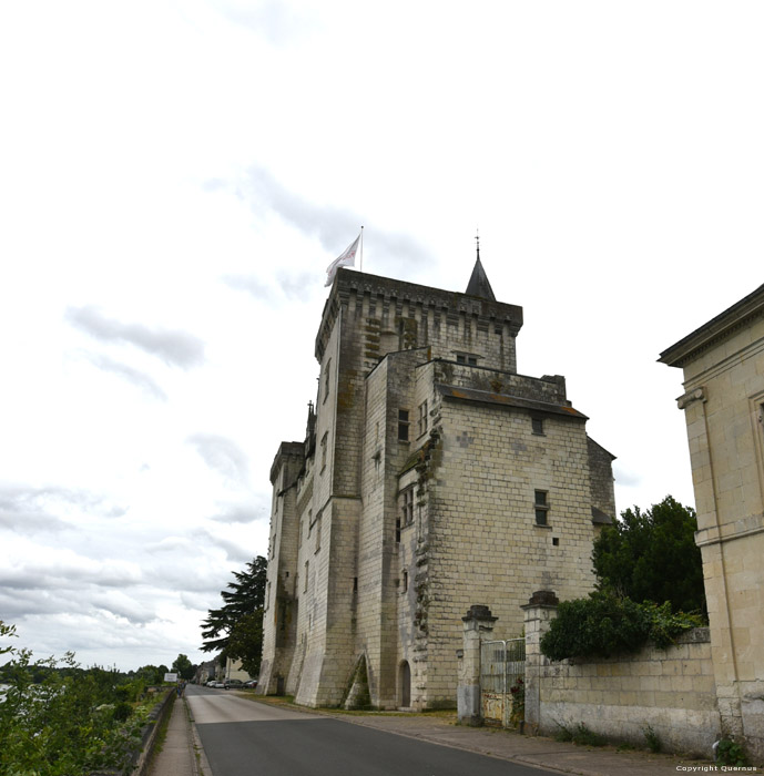 Castle Montsoreau / FRANCE 