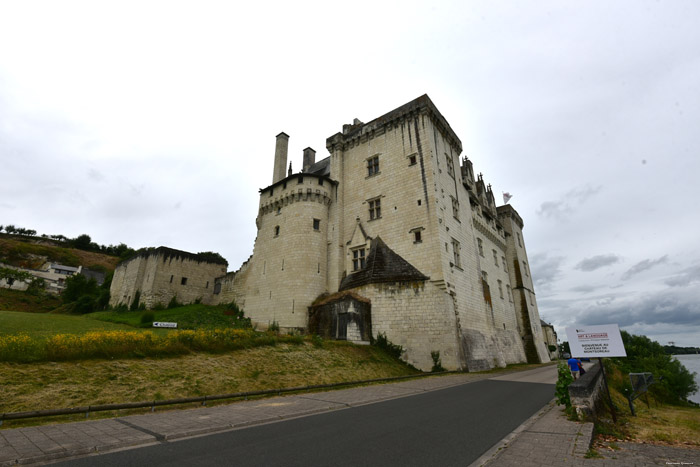 Castle Montsoreau / FRANCE 