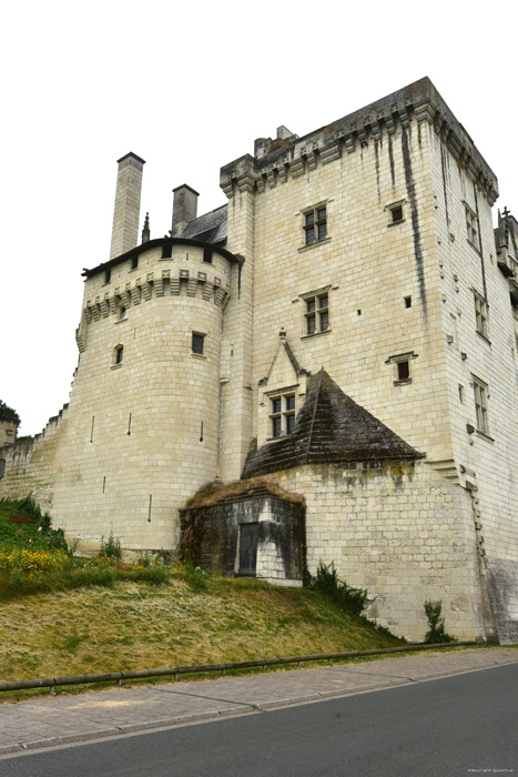 Castle Montsoreau / FRANCE 