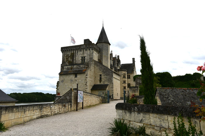 Castle Montsoreau / FRANCE 